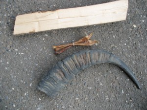 .......hornbogen- rohmaterial: bergahorn, wasserbüffelhorn, hirschsehne.....